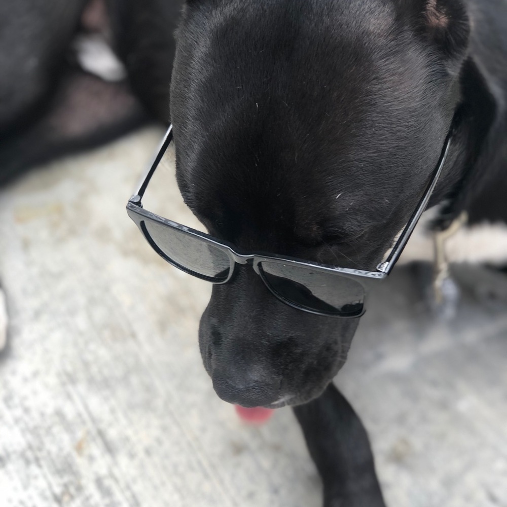 Meet your Posher, Leticia